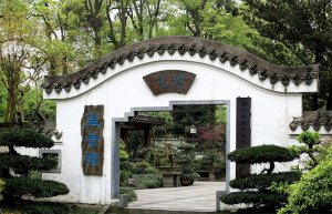 上海静安区雕塑公园3月梅花进